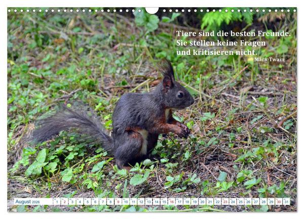 Produktbild: Kraftquelle Natur (Wandkalender 2026 DIN A3 quer), CALVENDO Monatskalender
