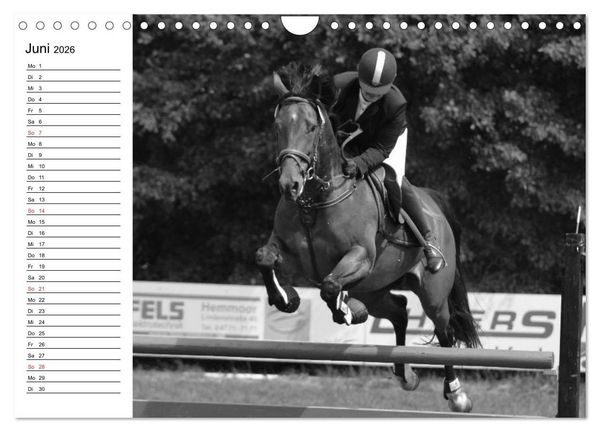 Produktbild: Leidenschaft Pferdesport - Impressionen (Wandkalender 2026 DIN A4 quer), CALVENDO Monatskalender