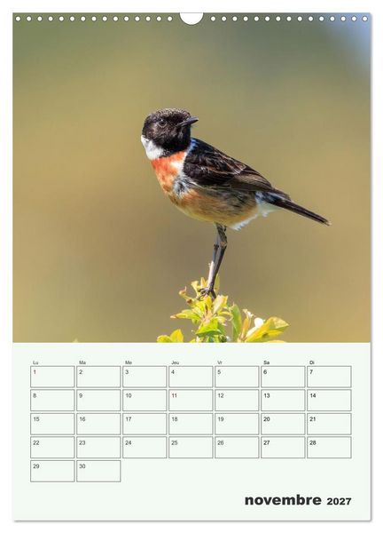 Produktbild: Voyage ornithologique (Calendrier mural 2027 DIN A3 horizontal), CALVENDO calendrier mensuel