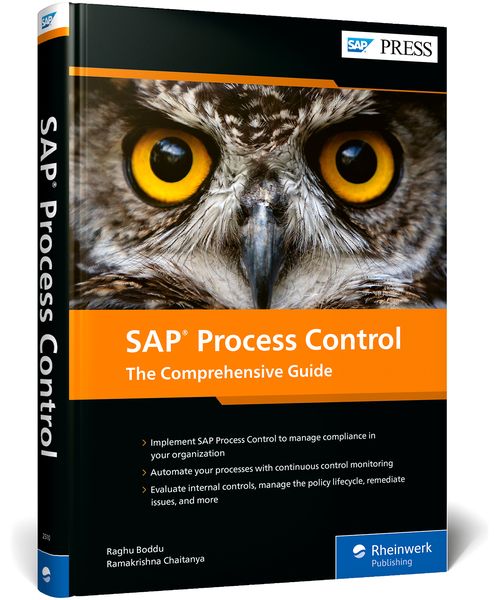 Produktbild: SAP Process Control