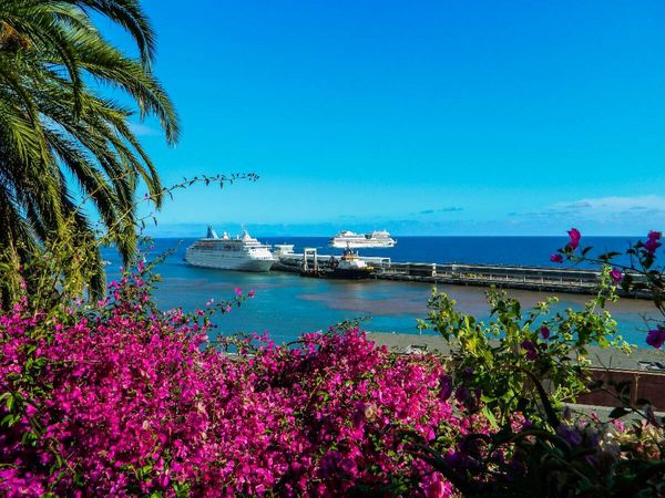 Produktbild: CALVENDO Puzzle Kreuzfahrtschiffe vor Funchal, Madeira | 1000 Teile Lege-Gr&ouml;&szlig;e 64x48cm Foto-Puzzle f&uuml;r gl&uuml;ckliche Stunden