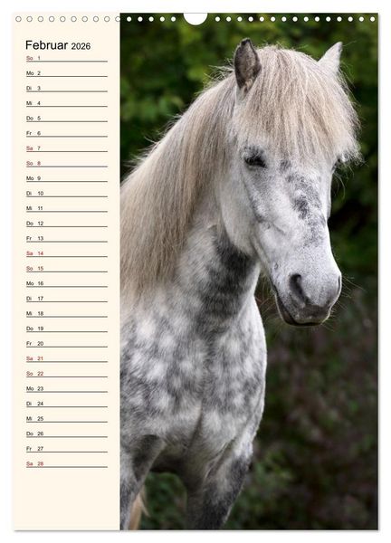 Produktbild: Isl&auml;nder Geburtstagskalender (Wandkalender 2026 DIN A3 hoch), CALVENDO Monatskalender
