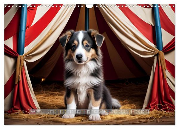 Produktbild: Kuschelige Hunde - kleine Herzensbrecher in Aktion (Wandkalender 2026 DIN A3 quer), CALVENDO Monatskalender