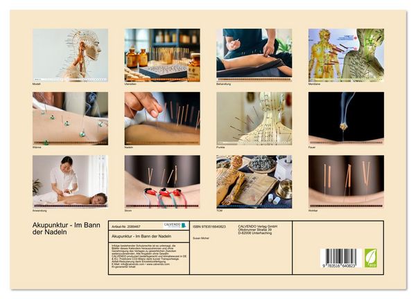 Produktbild: Akupunktur - Im Bann der Nadeln (hochwertiger Premium Wandkalender 2026 DIN A2 quer), Kunstdruck in Hochglanz