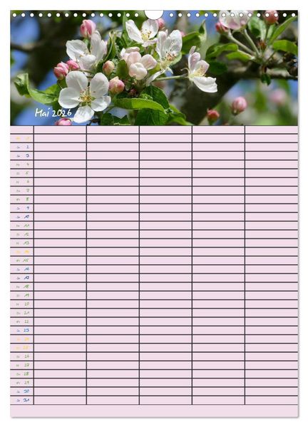 Produktbild: Kleine Natursch&ouml;nheiten (Wandkalender 2026 DIN A3 hoch), CALVENDO Monatskalender