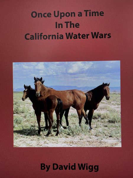 Produktbild: Once Upon A Time In the California Water Wars