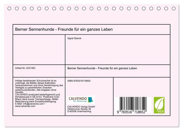 Produktbild: Berner Sennenhunde - Freunde f&uuml;r ein ganzes Leben (Tischkalender 2026 DIN A5 quer), CALVENDO Monatskalender