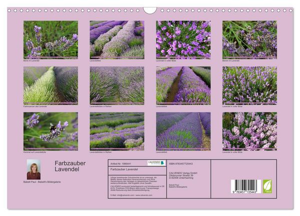 Produktbild: Farbzauber Lavendel (Wandkalender 2026 DIN A3 quer), CALVENDO Monatskalender