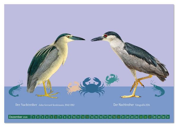 Produktbild: Vom Reiger zum Reiher (Tischkalender 2026 DIN A5 quer), CALVENDO Monatskalender