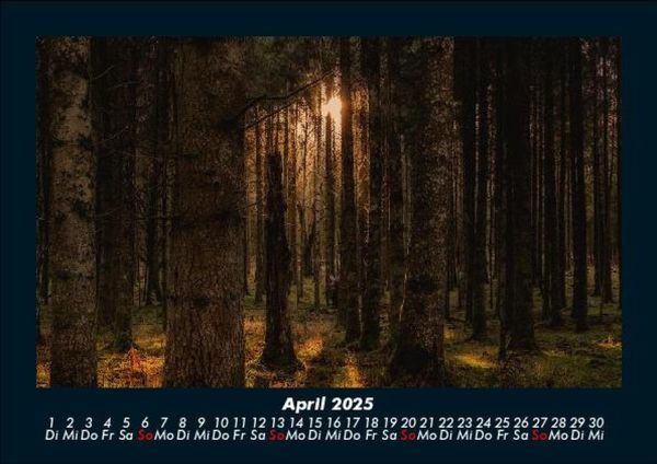 Produktbild: Waldzauber 2025 Fotokalender DIN A5