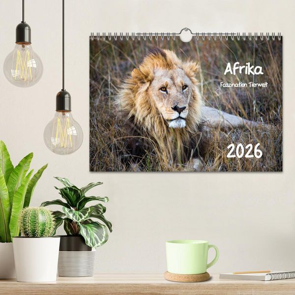 Produktbild: Afrika - Faszination Tierwelt (Wandkalender 2026 DIN A4 quer), CALVENDO Monatskalender