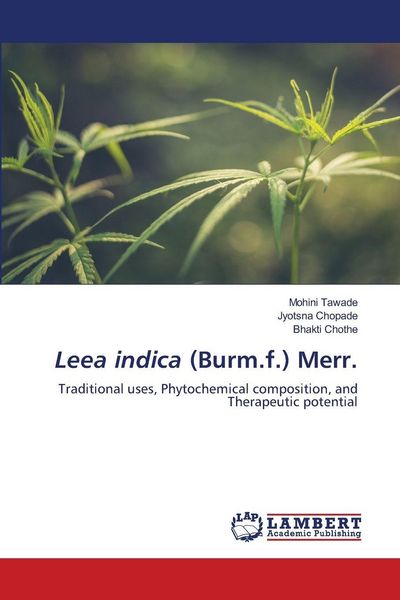 Produktbild: Leea indica (Burm.f.) Merr.