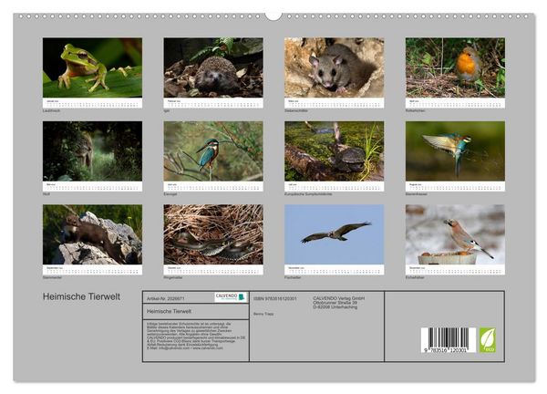 Produktbild: Heimische Tierwelt (hochwertiger Premium Wandkalender 2026 DIN A2 quer), Kunstdruck in Hochglanz