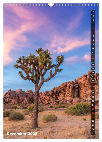 Produktbild: Impressionen aus dem JOSHUA TREE NATIONAL PARK (Wandkalender 2026 DIN A3 hoch), CALVENDO Monatskalender