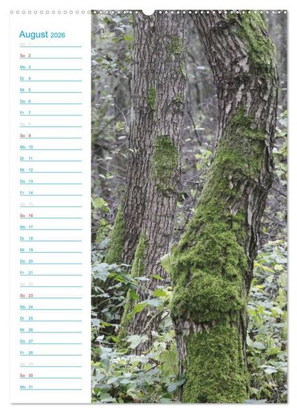 Produktbild: Wunderbarer Spreewald (Wandkalender 2026 DIN A2 hoch), CALVENDO Monatskalender