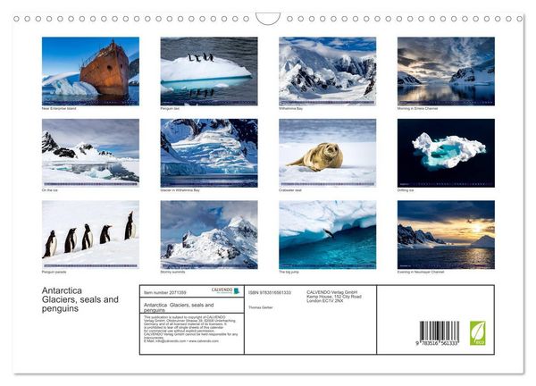 Produktbild: Antarctica Glaciers, seals and penguins (Wall Calendar 2026 DIN A3 landscape), CALVENDO 12 Month Wall Calendar