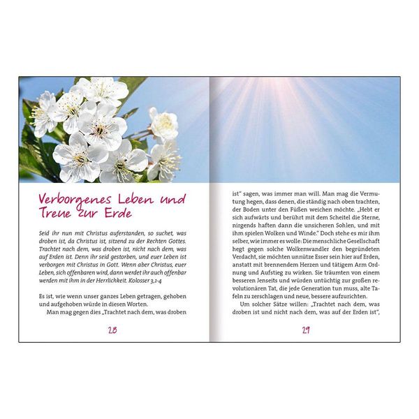 Produktbild: Von Gottes Liebe leben wir