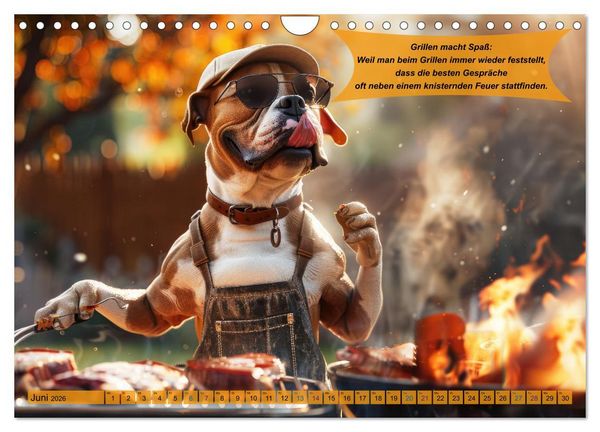 Produktbild: Tierisch lustige Grillmeister (Wandkalender 2026 DIN A4 quer), CALVENDO Monatskalender