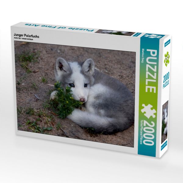 Produktbild: CALVENDO Puzzle Junger Polarfuchs | 2000 Teile Lege-Gr&ouml;&szlig;e 90x67cm Foto-Puzzle f&uuml;r gl&uuml;ckliche Stunden