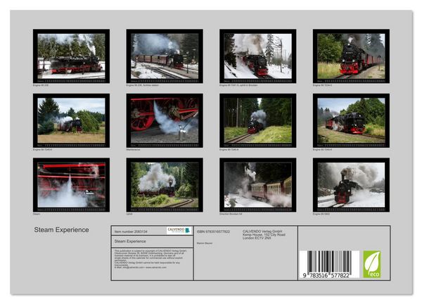 Produktbild: Steam Experience (Wall Calendar 2026 DIN A4 landscape), CALVENDO 12 Month Wall Calendar
