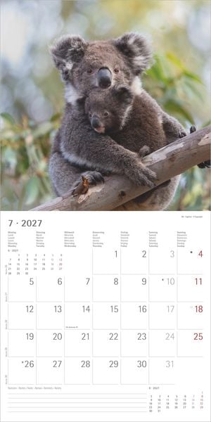 Produktbild: Tierbabys 2027
