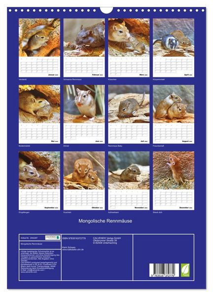 Produktbild: Mongolische Rennm&auml;use (Wandkalender 2026 DIN A3 hoch), CALVENDO Monatskalender