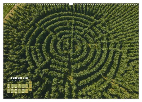 Produktbild: Wundersch&ouml;ne Cannabisfelder (hochwertiger Premium Wandkalender 2026 DIN A2 quer), Kunstdruck in Hochglanz