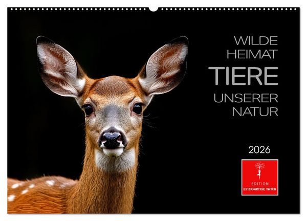 Wilde Heimat - Tiere unserer Natur (Wandkalender 2026 DIN A2 quer), CALVENDO Monatskalender