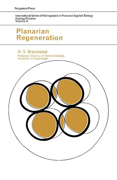 Produktbild: Planarian Regeneration