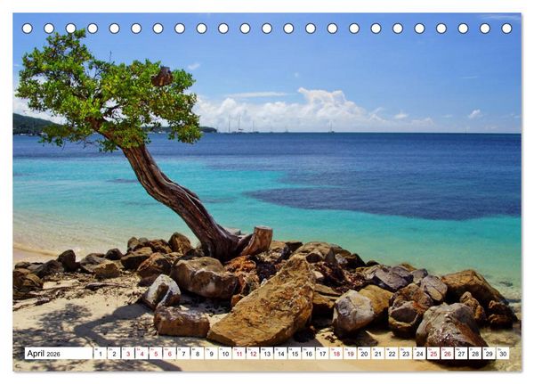 Produktbild: Martinique, die Traumstr&auml;nde (Tischkalender 2026 DIN A5 quer), CALVENDO Monatskalender