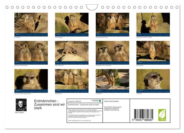 Produktbild: Erdm&auml;nnchen - Zusammen sind wir stark (Wandkalender 2026 DIN A4 quer), CALVENDO Monatskalender