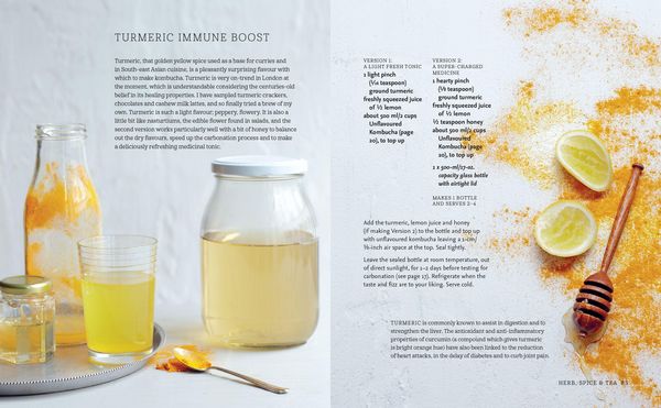 Produktbild: Kombucha