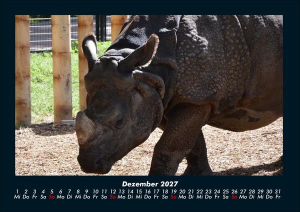 Produktbild: Der Tierkalender 2027 Fotokalender DIN A4