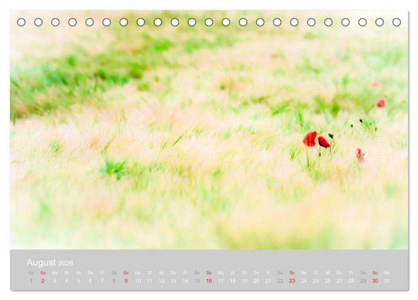 Produktbild: Zauber des Mohns (Tischkalender 2026 DIN A5 quer), CALVENDO Monatskalender