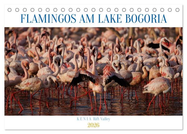 Produktbild: Flamingos am Lake Bogoria - Kenia (Tischkalender 2026 DIN A5 quer), CALVENDO Monatskalender