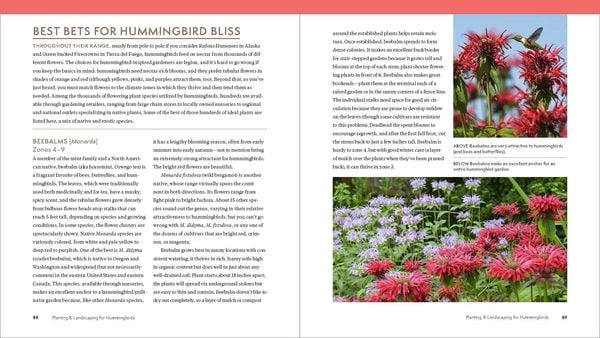 Produktbild: The Hummingbird Handbook