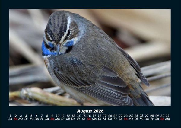 Produktbild: Vogelparadies 2026 Fotokalender DIN A4