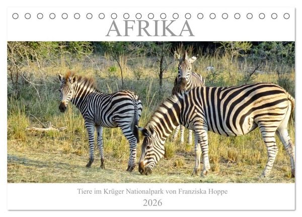 Afrika - Tiere im Krüger Nationalpark (Tischkalender 2026 DIN A5 quer), CALVENDO Monatskalender