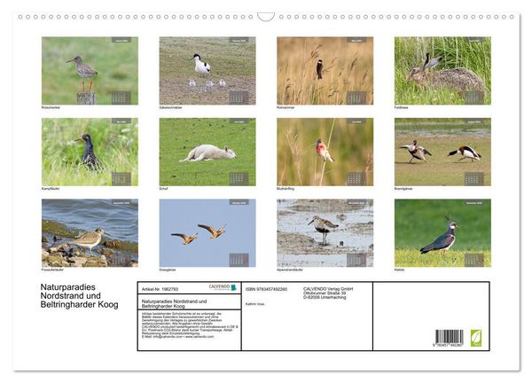 Produktbild: Naturparadies Nordstrand und Beltringharder Koog (Wandkalender 2026 DIN A2 quer), CALVENDO Monatskalender