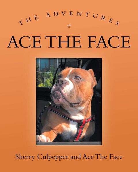 Produktbild: The Adventures of Ace The Face