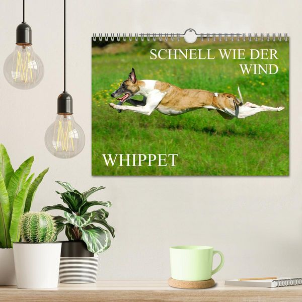Produktbild: Schnell wie der Wind - Whippet (Wandkalender 2026 DIN A4 quer), CALVENDO Monatskalender