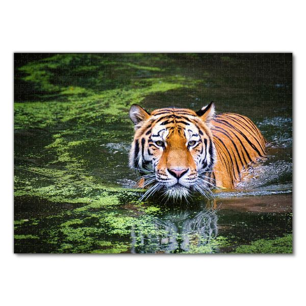 Produktbild: Lais Puzzle Tiger 1000 Teile