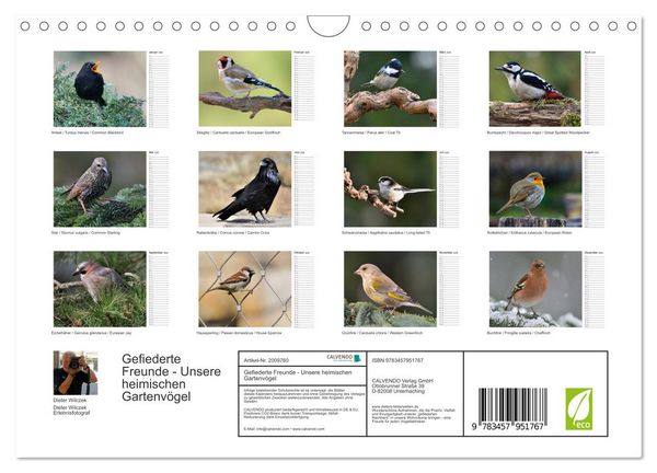 Produktbild: Gefiederte Freunde - Unsere heimischen Gartenv&ouml;gel (Wandkalender 2026 DIN A4 quer), CALVENDO Monatskalender