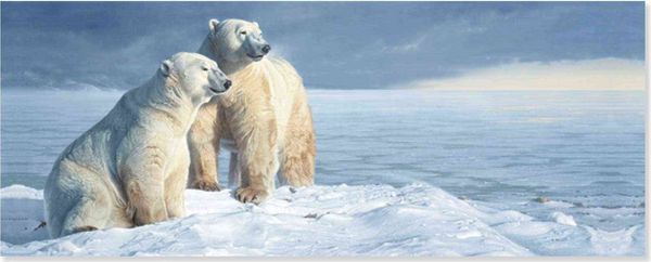 Produktbild: Polar Bears Panoramic Boxed Ho