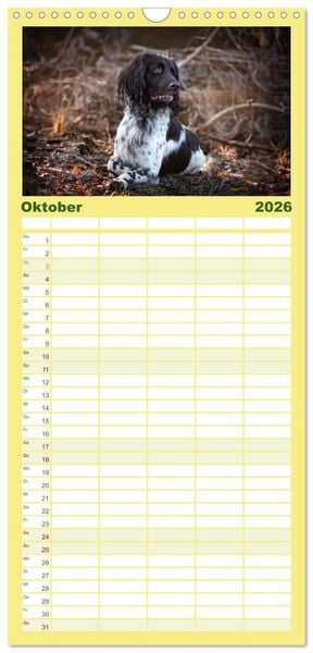 Produktbild: Familienplaner 2026 - Passion Jagdhund - Deutsch Langhaar mit 5 Spalten (Wandkalender, 21 x 45 cm) CALVENDO