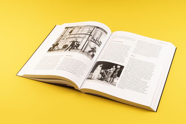Produktbild: Regietheater. Eine deutsch-&ouml;sterreichische Geschichte