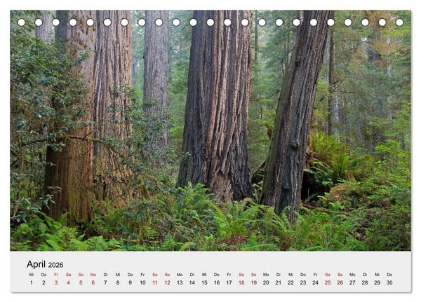 Produktbild: Kalifornien - K&uuml;sten und W&uuml;sten, St&auml;dte und Berge (Tischkalender 2026 DIN A5 quer), CALVENDO Monatskalender