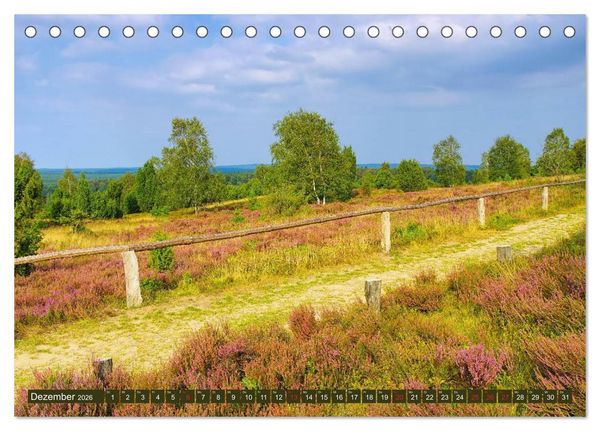 Produktbild: L&uuml;neburger Heide - Wanderung rund um Wilsede und Totengrund (Tischkalender 2026 DIN A5 quer), CALVENDO Monatskalender