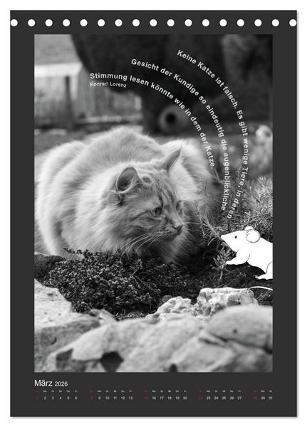 Produktbild: Katz & Maus (Tischkalender 2026 DIN A5 hoch), CALVENDO Monatskalender