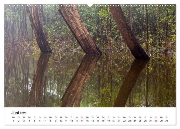 Produktbild: Mythos Amazonas - Naturparadies Brasiliens (Wandkalender 2026 DIN A2 quer), CALVENDO Monatskalender